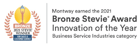 Bronze Stevie® Award