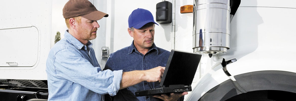 Auto transporters pointing and looking at computer.