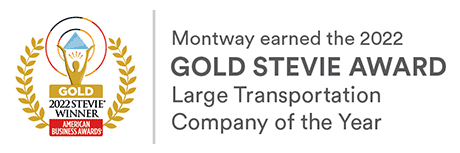 2022_stevie_award-1 (1)