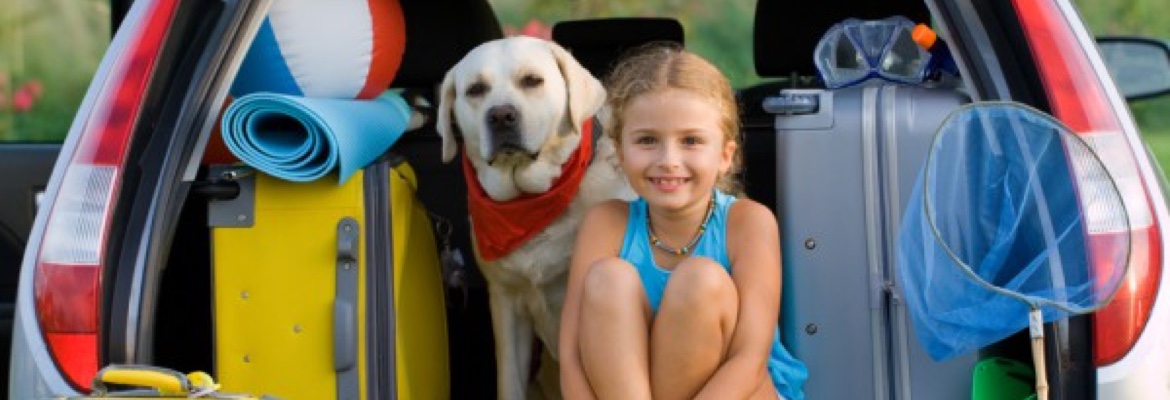 Child with dog in family car packed for a cross country move.