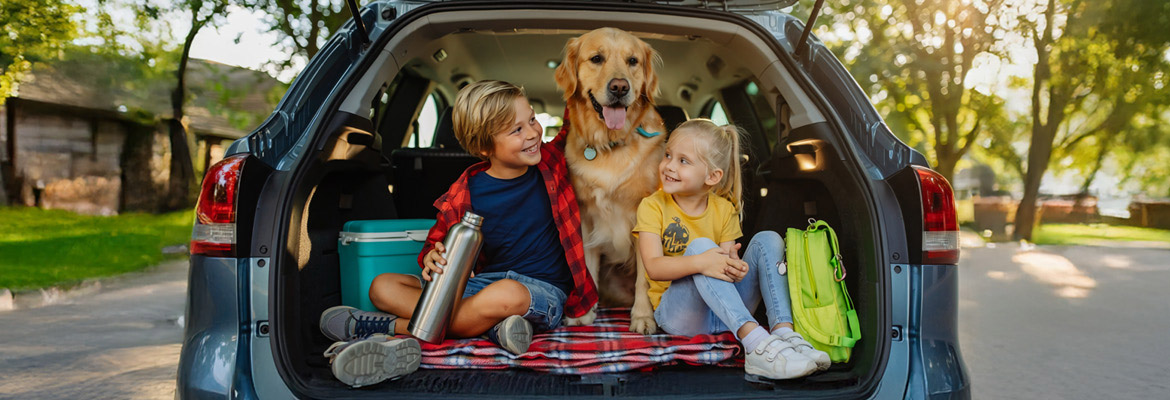 kids sitting on tailgate with dog