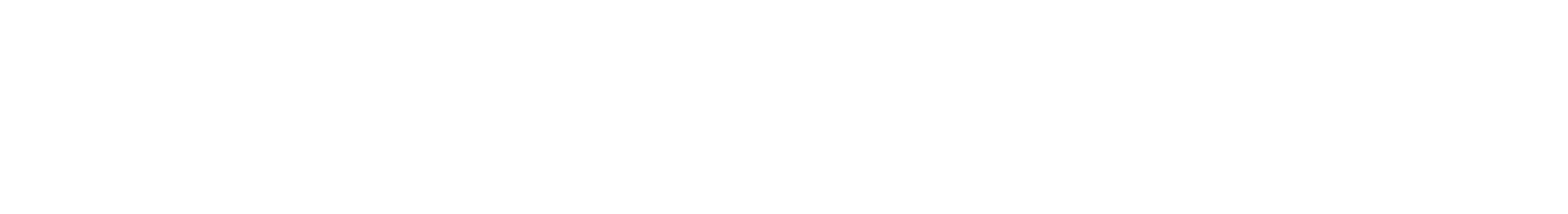 ExpertsCarShipping_white_logo_transparent_background