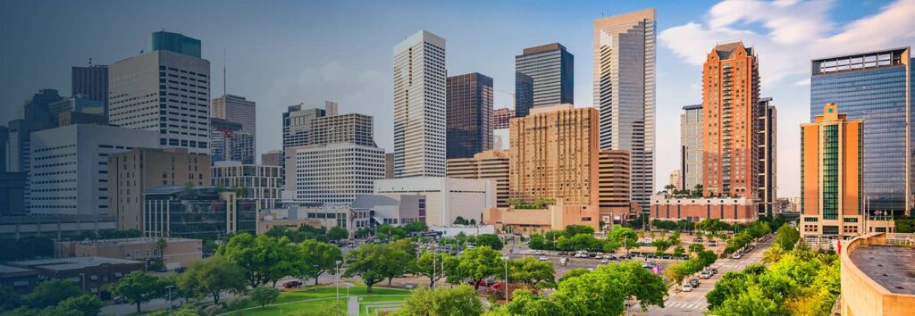 texas-1024x354