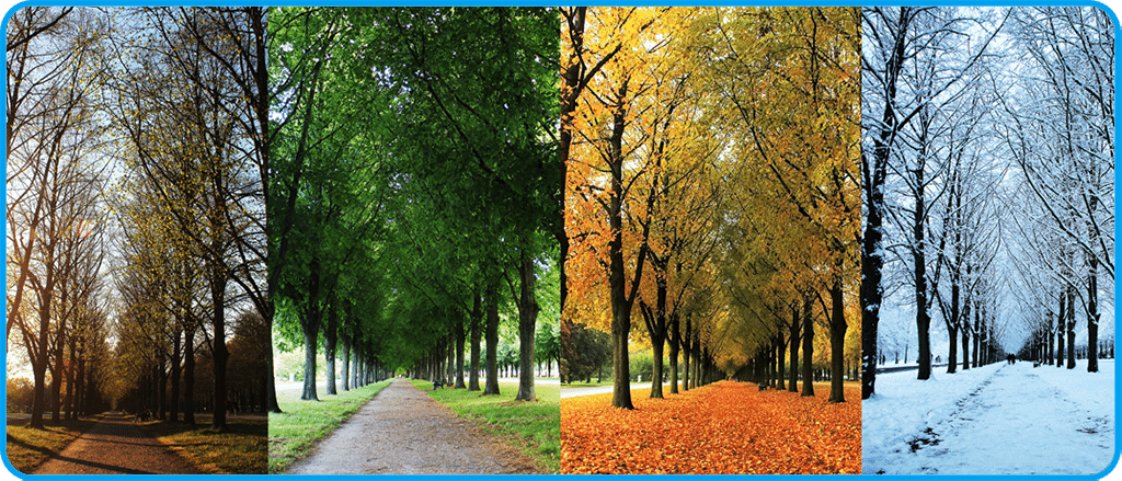 Seasonality