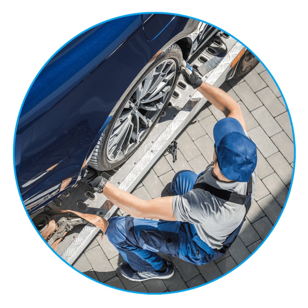 dealership_circle_3-1024x1024