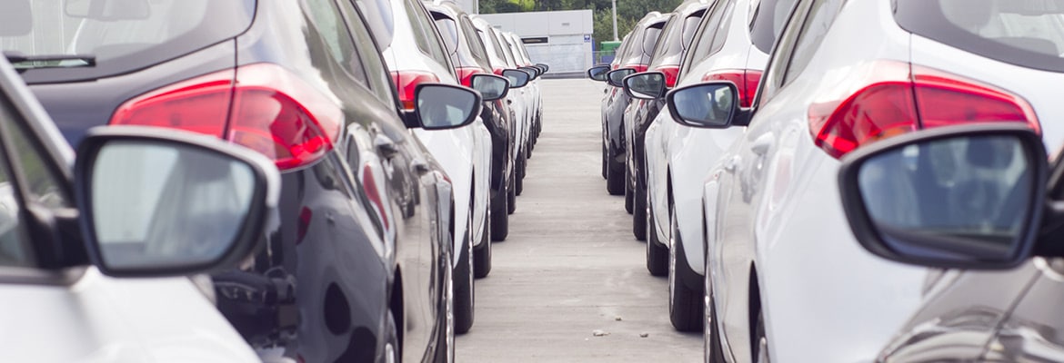 Rows of used car inventory recently sourced at dealership.