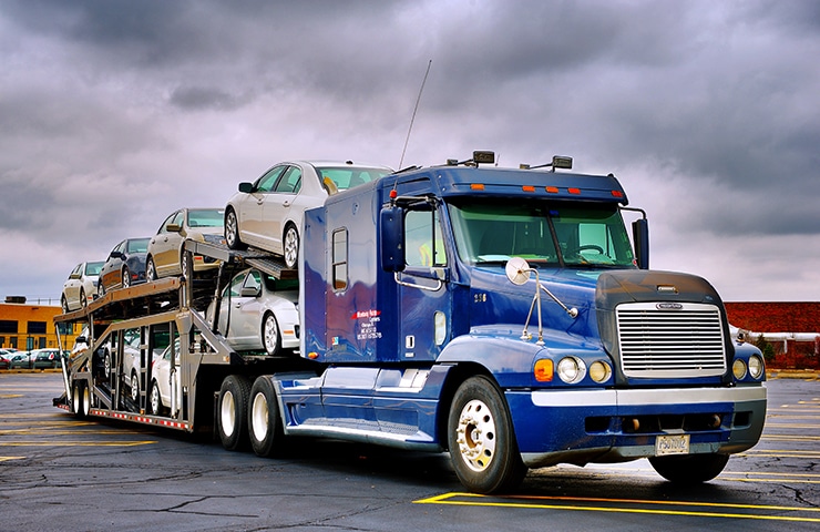 Transport Type Top 1