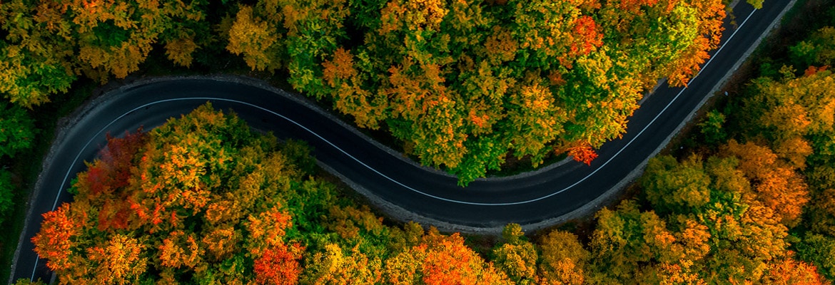 Winding road surrounded by colorful fall foliage.